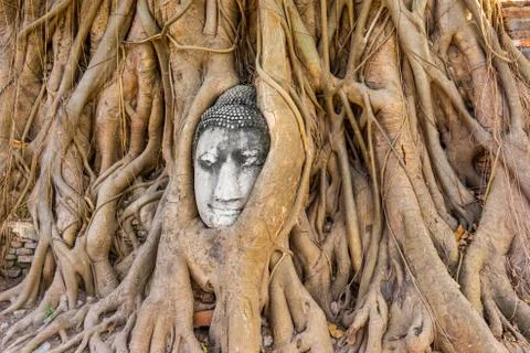 Buddha head at ayuthaya Stock Photos