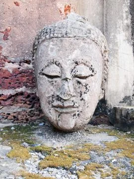 Buddha head is broken Stock Photos