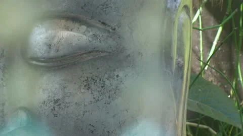 Buddha- head- motion effect 스톡 동영상 10767656