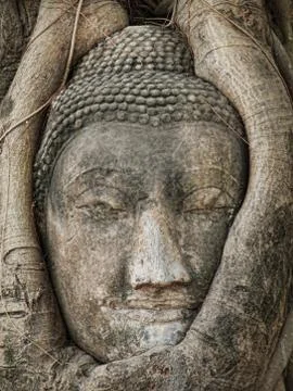 Buddha head Foto stock