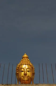 Buddha head Stock Photos