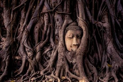 Buddha Head Stock Photos