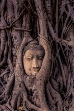 Buddha Head Stock Photos