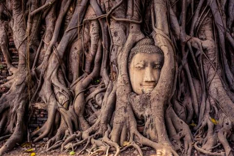 Buddha Head Stock Photos