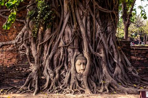 Buddha Head Stock Photos
