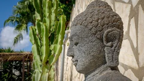 Buddha head Stock Photos