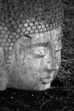 Buddha head Stock Photos