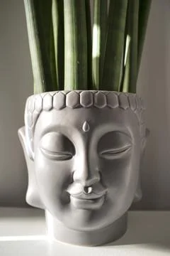 Buddha head planter Stock Photos