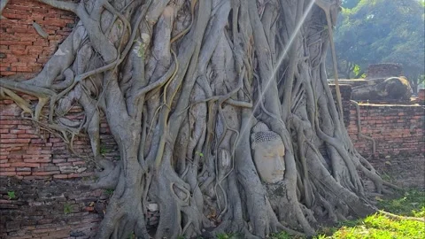 Buddha head in the tree roots in Ayutthaya historical park Wat Mahathat temple. Stock Footage 306948909