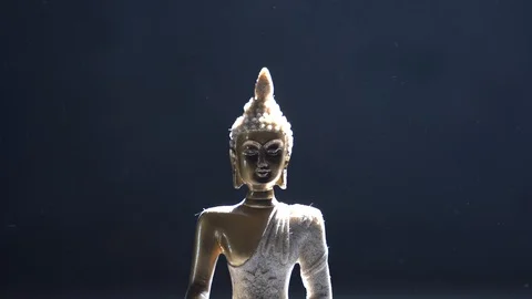 Buddha idol with dark background Stock Footage 119688704
