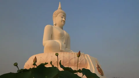 Buddha image is front Lotus on blue sky background Stock Footage 30537624