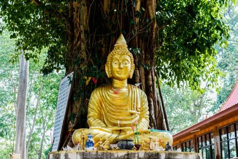 Buddha image under Bodhi tree Stock Photos