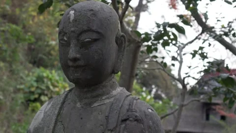 Buddha in Japan Garden 스톡 동영상 238501207