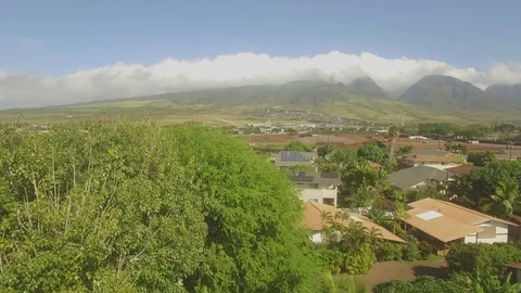 Buddha Jib Down Pull Out Stock Footage 71730317