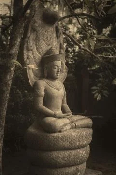 The Buddha meditates on snakes Stock Photos