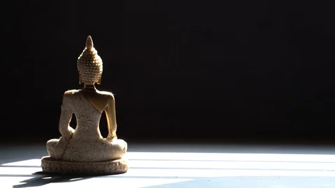 Buddha meditating idol back view Stock Footage 119690076