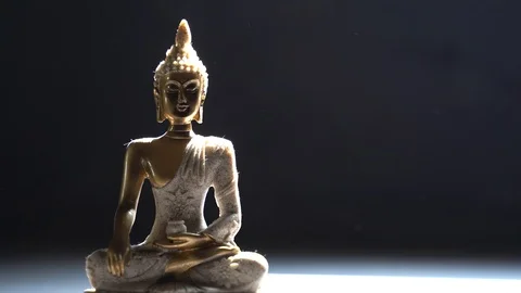 Buddha Meditating in wind Stock Footage 119694173