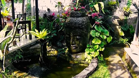 Buddha mini waterfall Stock Footage 78016145