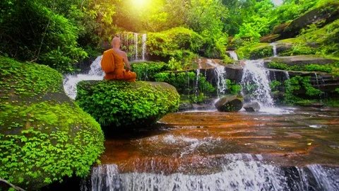 Buddha monk practice meditation at waterfall in rainforest Vídeos de archivo 115658997
