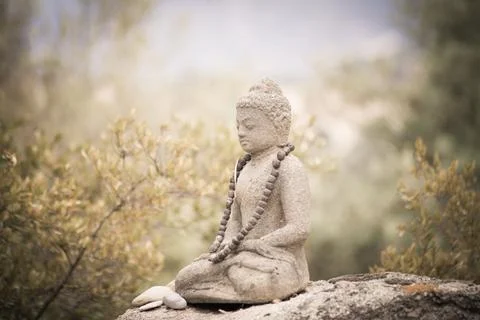 Buddha of nature Stock Photos