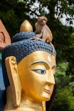 Buddha in Nepal Stock Photos