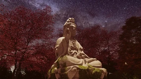 Buddha Night 3 Stock Footage 168986854