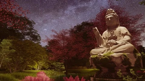 Buddha Night 5 Stock Footage 168986490
