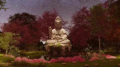 Buddha Night 6 Stock Footage 168987002