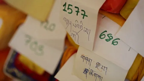 Buddha offers in the temple Stock Footage 80001489