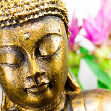 Buddha with orchid Stock Photos