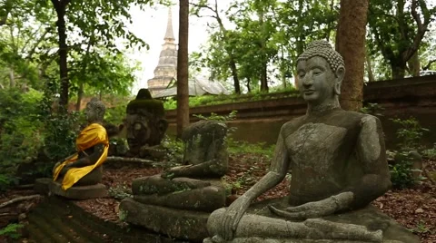 Buddha with pagoda in background Stock Footage 52557850