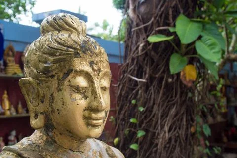 Buddha in a parc Stock Photos