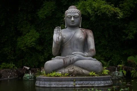 Buddha Stock Photos