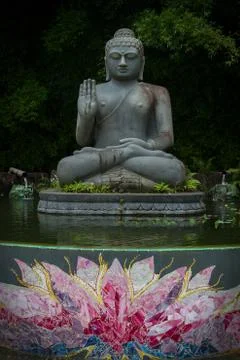 Buddha Stock Photos