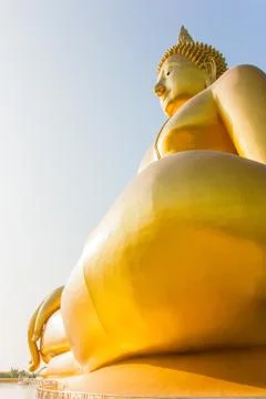 Buddha Stock Photos