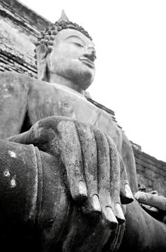 Buddha Stock Photos