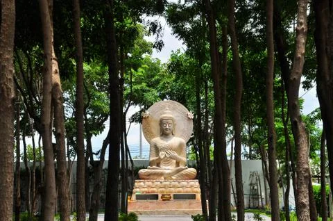 Buddha Stock Photos