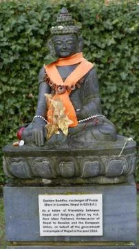 Buddha. 写真素材