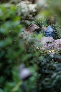 Buddha Stock Photos