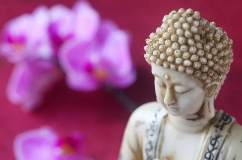 Buddha Stock Photos