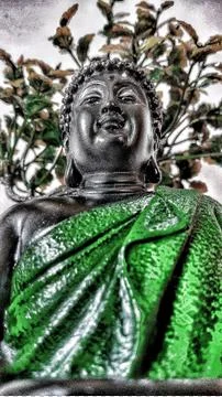 Buddha Фото