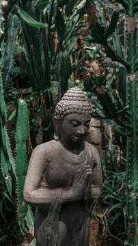 Buddha 写真素材