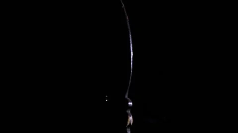 Buddha praying figure rotating at black background Stock-Footage 60047177