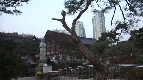 Buddha Sculpture and Skyscraper 스톡 동영상 291383