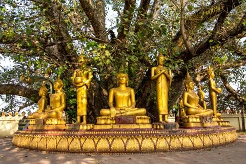Buddha sculptures at pha that luang Stock Photos