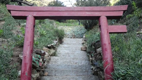 Buddha shrine Stock Footage 237112174