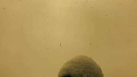 Buddha Snowflakes warm Stock Footage
