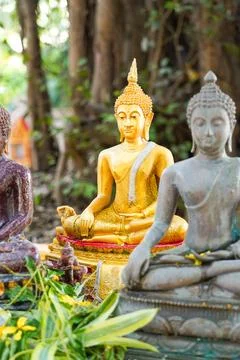 Buddha Statue banyan tree background in Wat Nongtakrong park of Thailand temple. 스톡 사진