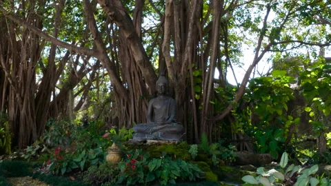 Buddha statue beneath banyan trees in peaceful garden 動画素材 309330612