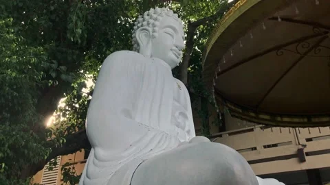 Buddha statue with bodhi tree behind in sunset Video stock 142675156